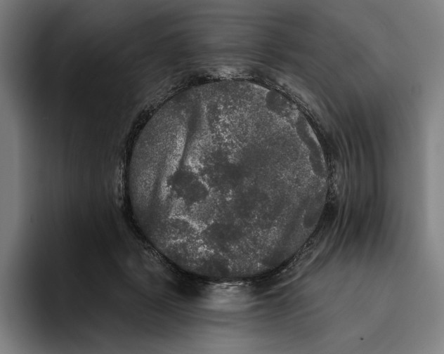 X0000094810461200712071229