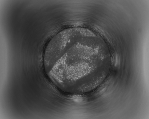 X0000094810462200712071229