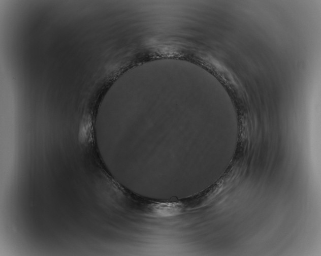 X0000094810465200712071229