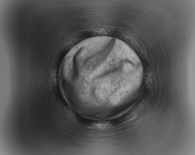 X0000094810466200712071229