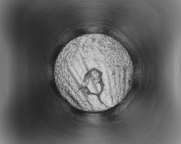 X0000094810469200712071229