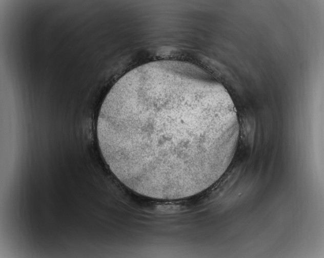 X0000094810470200712071229