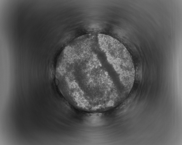 X0000094810474200712071229