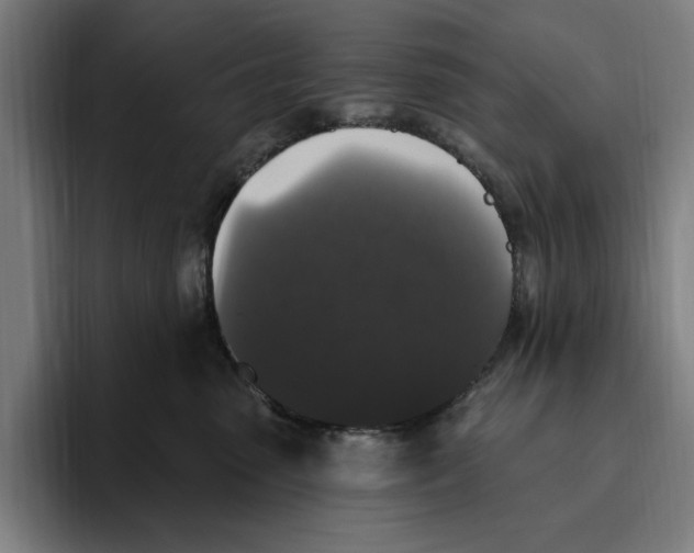 X0000094810475200712071229