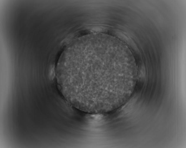 X0000094810478200712071229