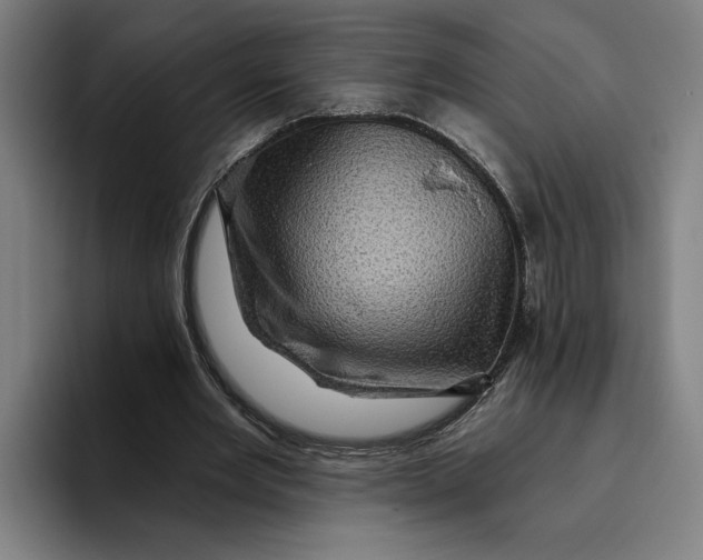 X0000094810485200712071228