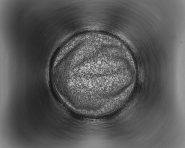 X0000094810486200712071228