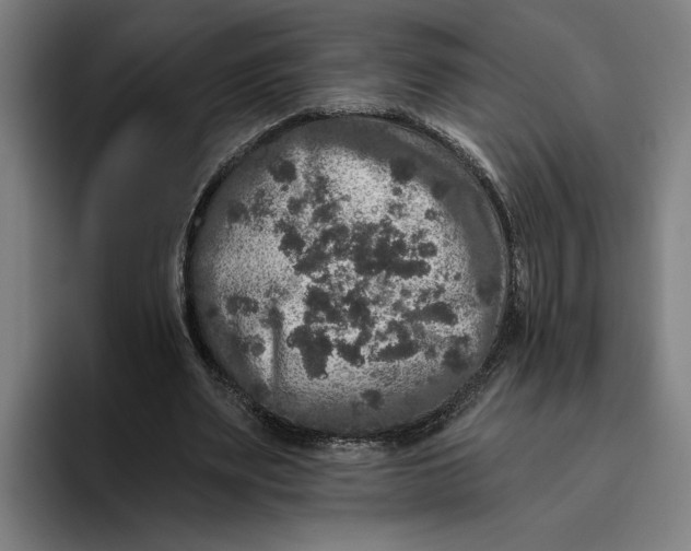 X0000094810487200712071228