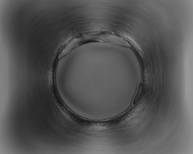 X0000094810489200712071228