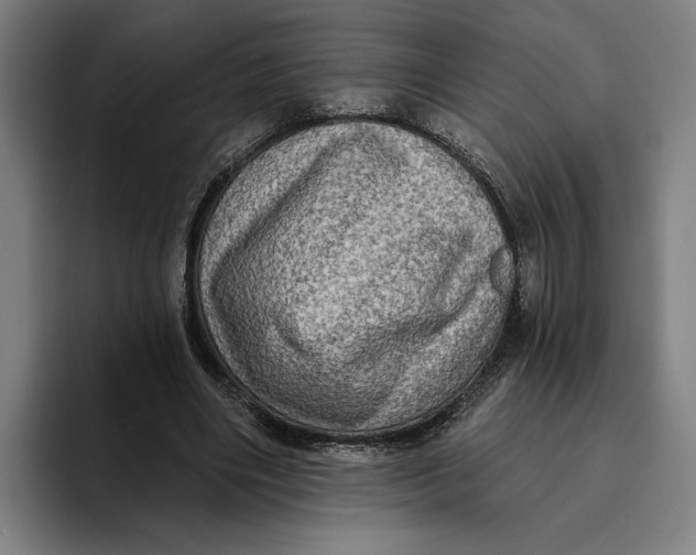 X0000094810490200712071228