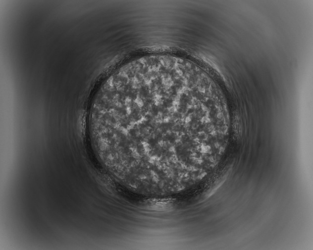 X0000094810495200712071228