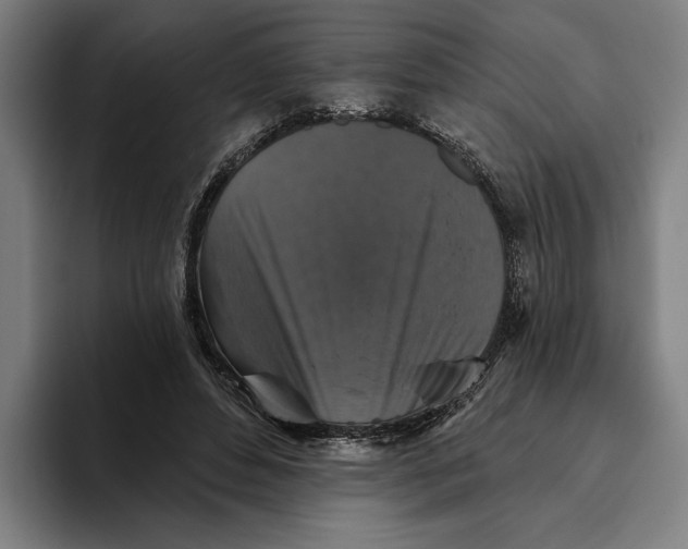 X0000094810496200712071228