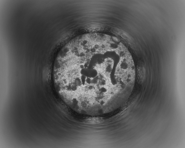 X0000094810499200712071228