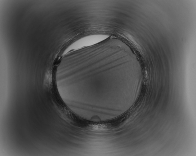 X0000094810500200712071228