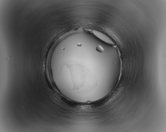 X0000094810501200712071228