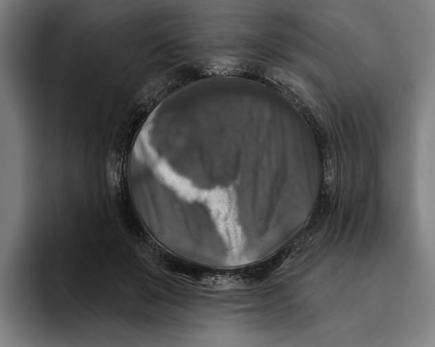 X0000094810503200712071228