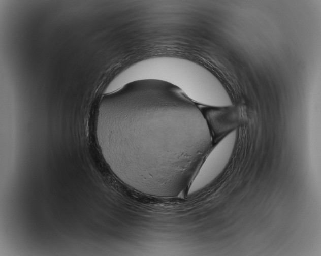 X0000094810504200712071228