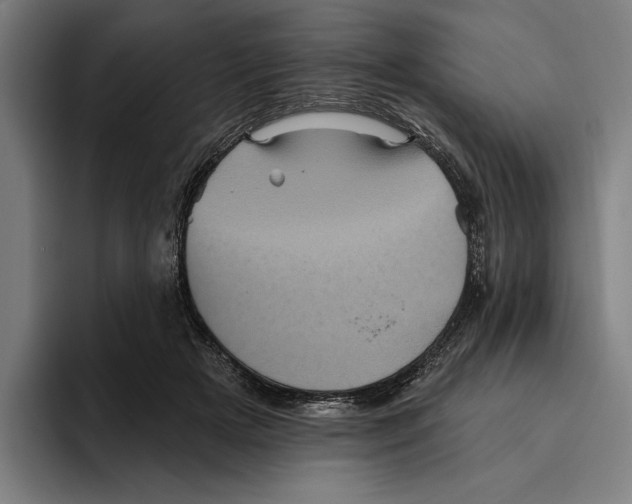 X0000094810505200712071228