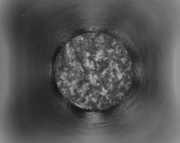 X0000094810511200712071228