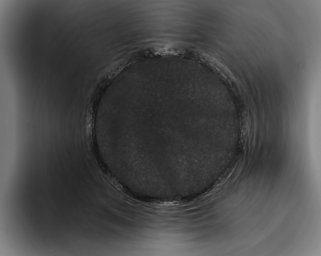 X0000094810513200712071228