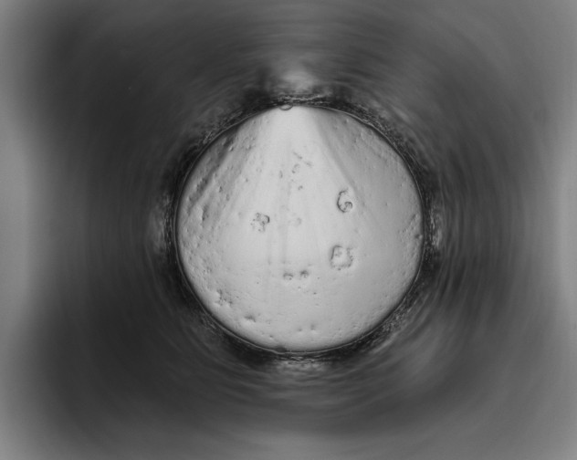 X0000094810515200712071228