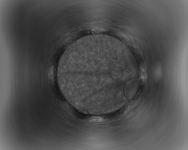 X0000094810519200712071228