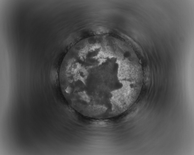 X0000094810523200712071228