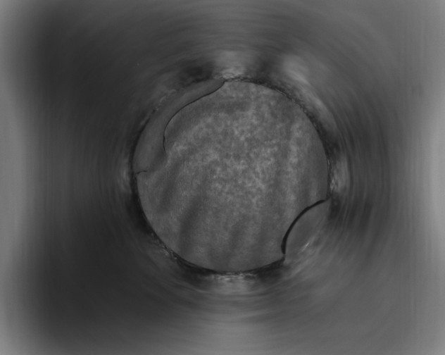 X0000094810524200712071228