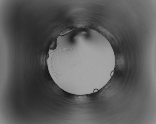 X0000094810525200712071228