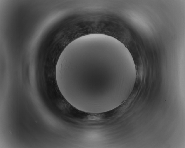 X0000094810526200712071228