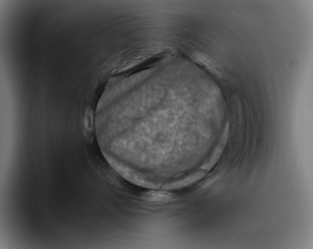 X0000094810528200712071228