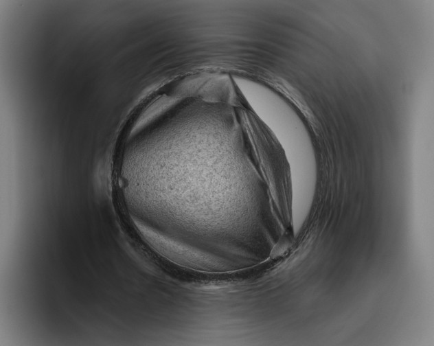 X0000094810530200712071227