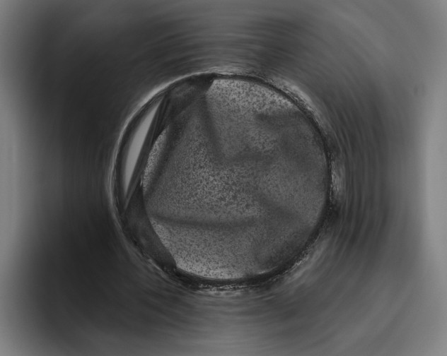 X0000094810532200712071227