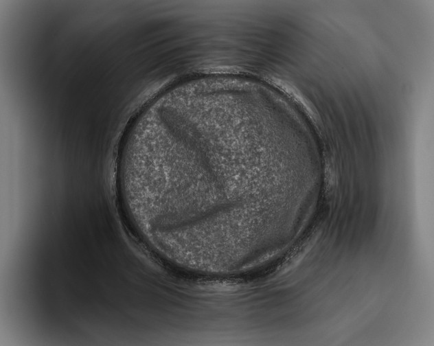 X0000094810533200712071227