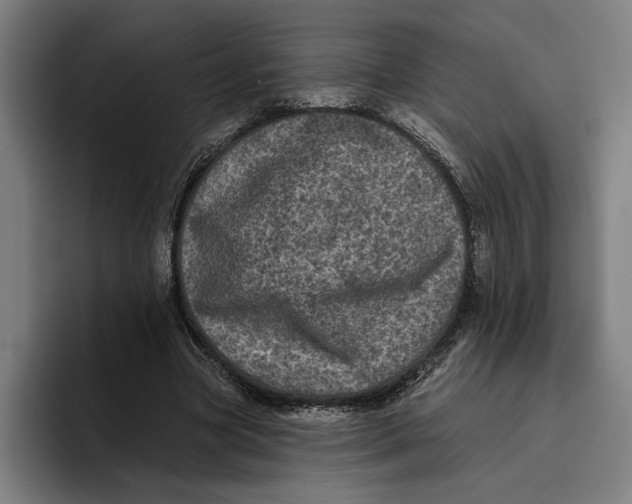 X0000094810537200712071227