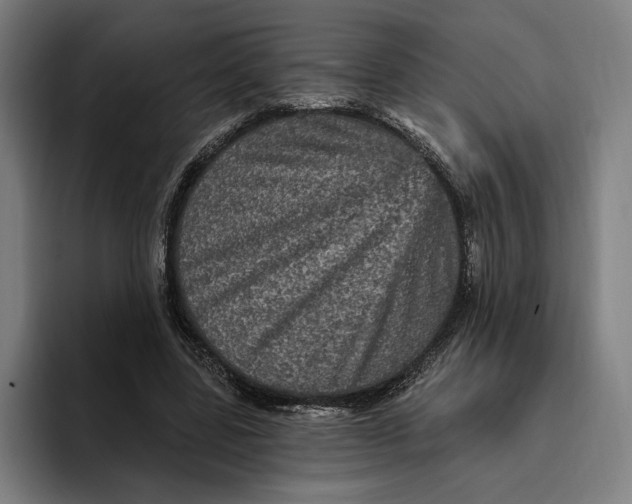 X0000094810539200712071227