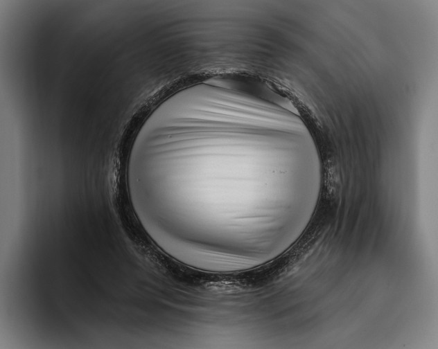 X0000094810544200712071227