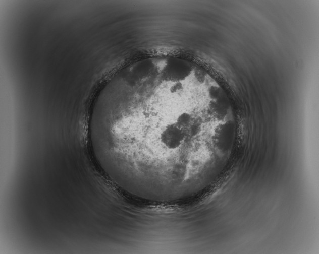 X0000094810545200712071227