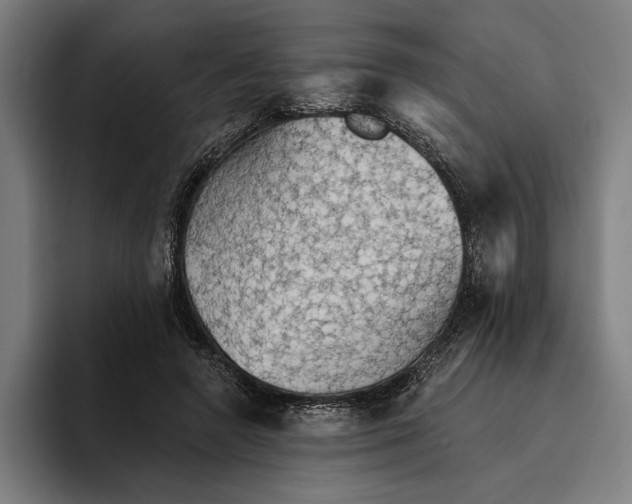 X0000094810546200712071227