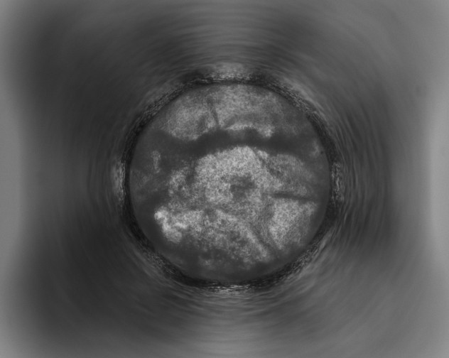 X0000094810550200712071227