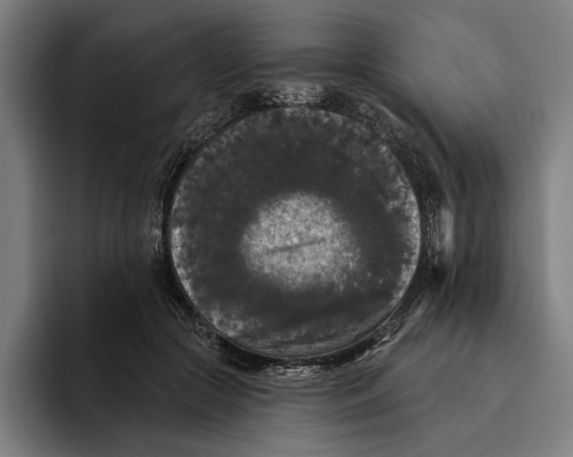 X0000094810553200712071227