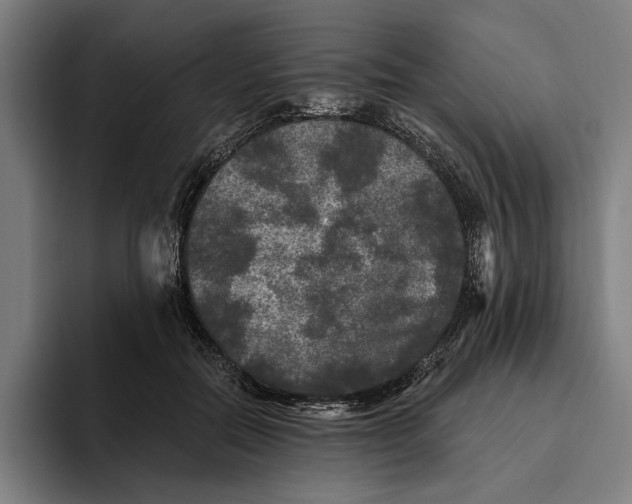 X0000094810554200712071227