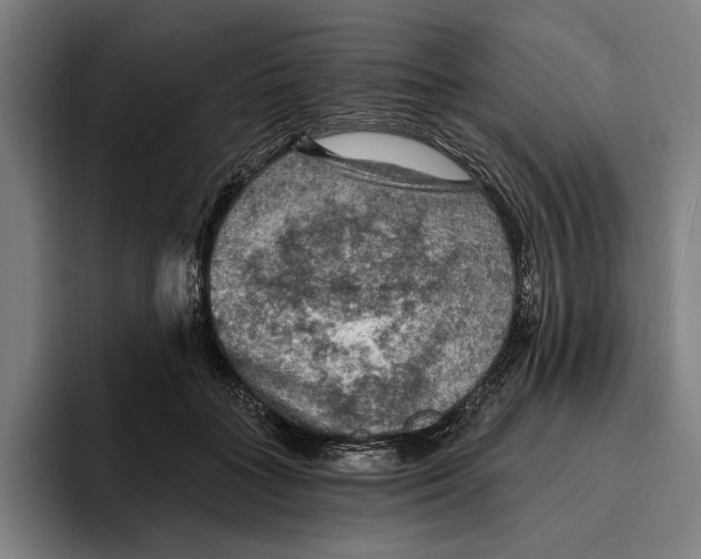 X0000094810555200712071227