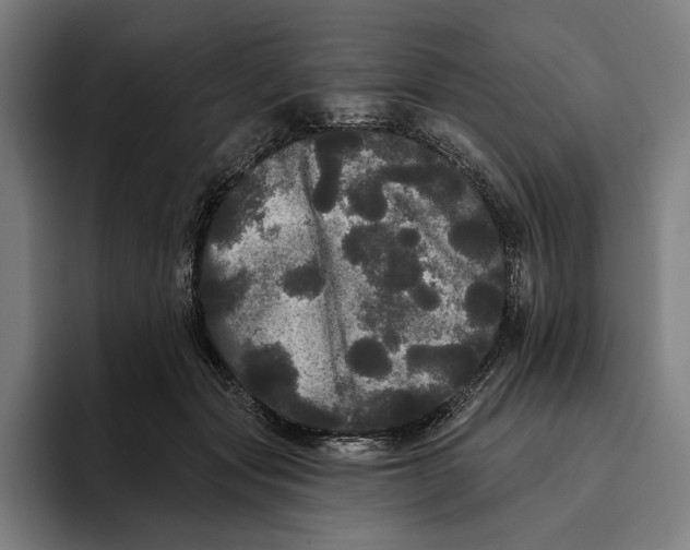 X0000094810557200712071228