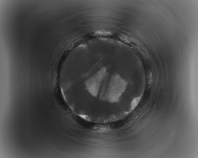 X0000094810559200712071228