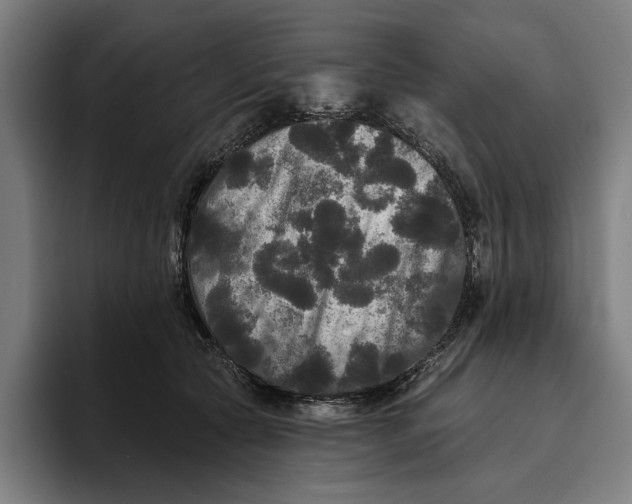 X0000094810561200712071228