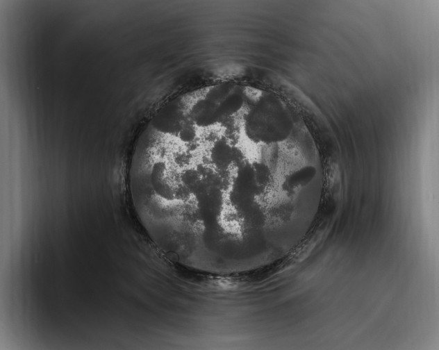 X0000094810565200712071228