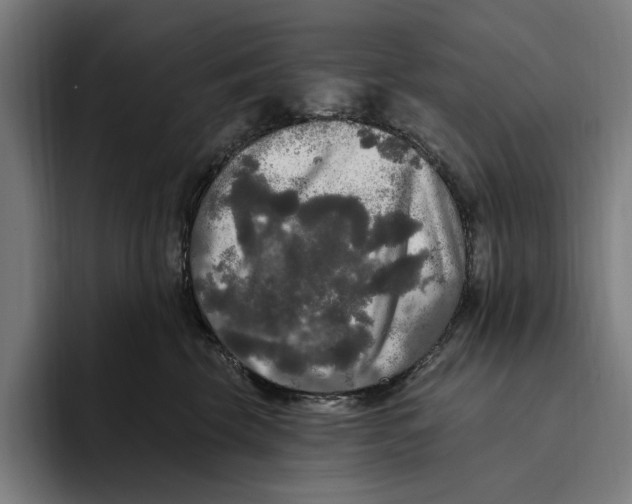 X0000094810569200712071228