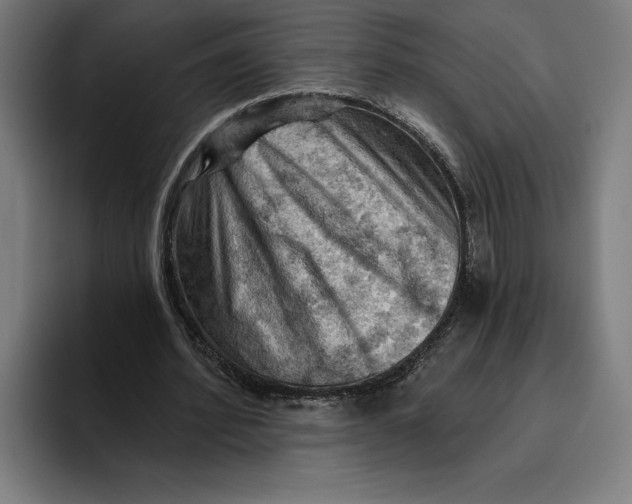 X0000094810580200712071227