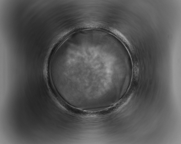 X0000094810581200712071227